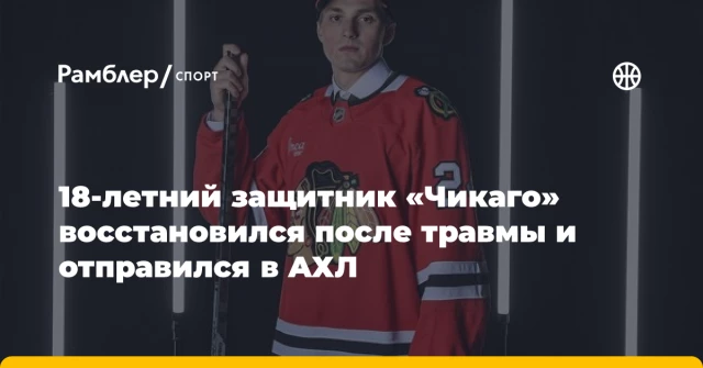 18-летний защитник «Чикаго» восстановился после травмы и отправился в АХЛ 18-летний защитник «Чикаго» восстановился после травмы и отправился в АХЛ