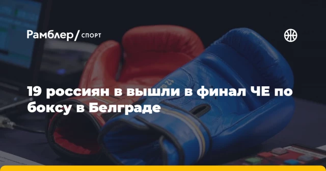 19 россиян в вышли в финал ЧЕ по боксу в Белграде 19 россиян в вышли в финал ЧЕ по боксу в Белграде