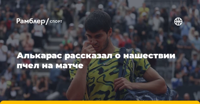 Алькарас рассказал о нашествии пчел на матче Алькарас рассказал о нашествии пчел на матче