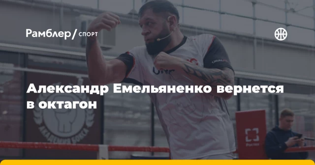 Александр Емельяненко вернется в октагон Александр Емельяненко вернется в октагон