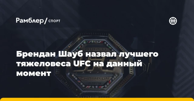 Брендан Шауб назвал лучшего тяжеловеса UFC на данный момент Брендан Шауб назвал лучшего тяжеловеса UFC на данный момент