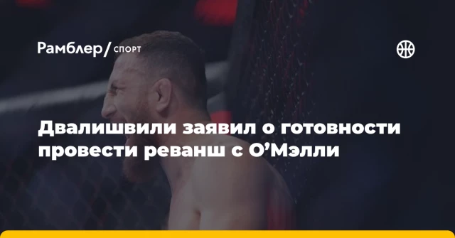 Двалишвили заявил о готовности провести реванш с О’Мэлли Двалишвили заявил о готовности провести реванш с О’Мэлли