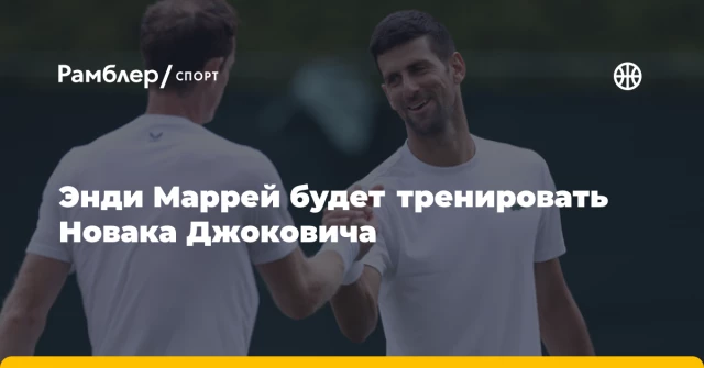 Энди Маррей будет тренировать Новака Джоковича Энди Маррей будет тренировать Новака Джоковича