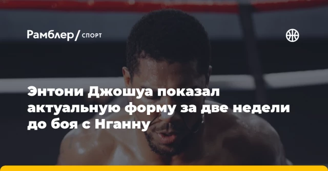 Энтони Джошуа показал актуальную форму за две недели до боя с Нганну Энтони Джошуа показал актуальную форму за две недели до боя с Нганну
