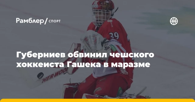 Губерниев обвинил чешского хоккеиста Гашека в маразме Губерниев обвинил чешского хоккеиста Гашека в маразме
