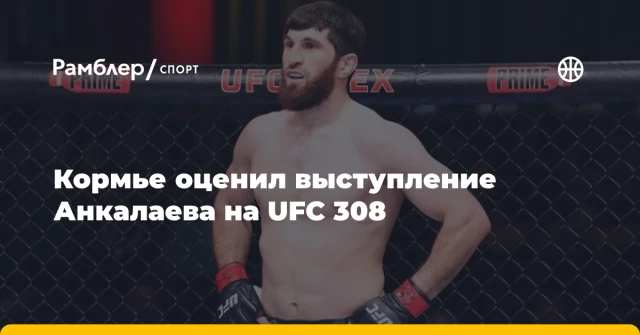 Кормье оценил выступление Анкалаева на UFC 308 Кормье оценил выступление Анкалаева на UFC 308
