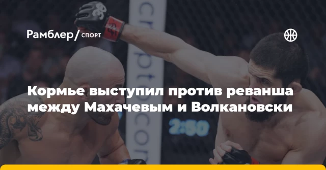 Кормье выступил против реванша между Махачевым и Волкановски Кормье выступил против реванша между Махачевым и Волкановски