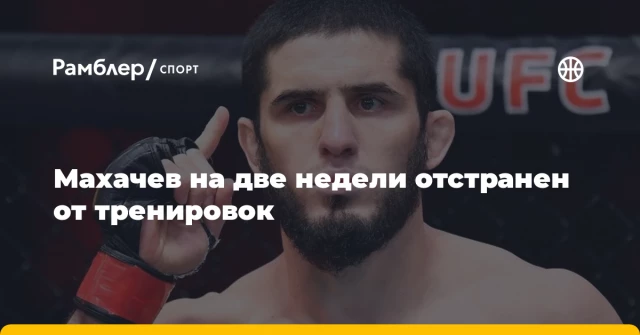 Махачев на две недели отстранен от тренировок Махачев на две недели отстранен от тренировок