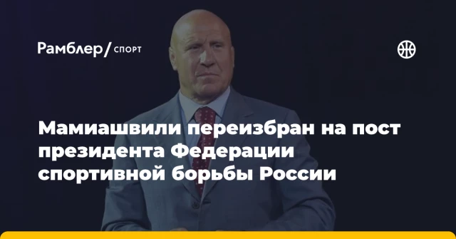 Мамиашвили переизбран на пост президента Федерации спортивной борьбы России Мамиашвили переизбран на пост президента Федерации спортивной борьбы России