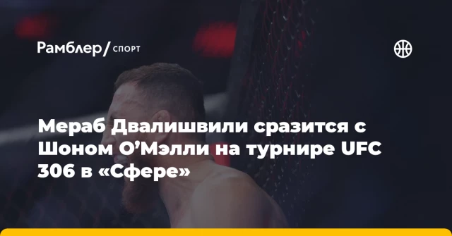 Мераб Двалишвили сразится с Шоном О’Мэлли на турнире UFC 306 в «Сфере» Мераб Двалишвили сразится с Шоном О’Мэлли на турнире UFC 306 в «Сфере»