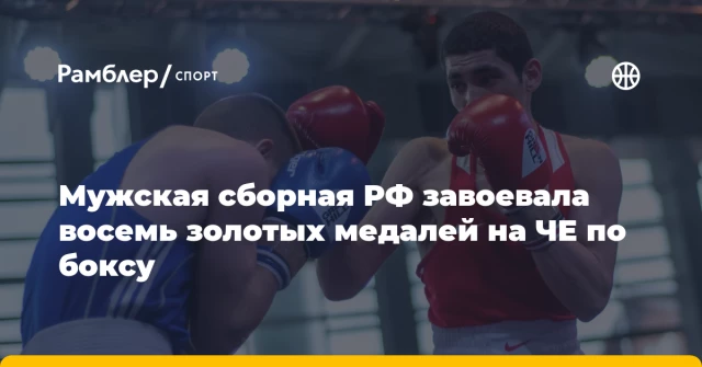 Мужская сборная РФ завоевала восемь золотых медалей на ЧЕ по боксу Мужская сборная РФ завоевала восемь золотых медалей на ЧЕ по боксу