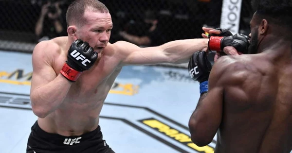 Названа дата второго боя Яна и Стерлинга в UFC Названа дата второго боя Яна и Стерлинга в UFC