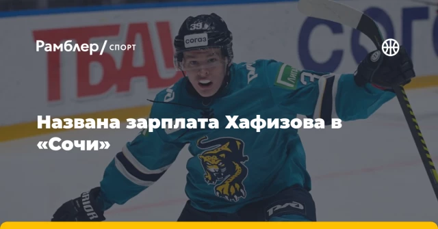 Названа зарплата Хафизова в «Сочи» Названа зарплата Хафизова в «Сочи»