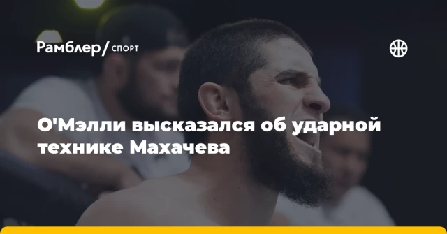 О'Мэлли высказался об ударной технике Махачева О'Мэлли высказался об ударной технике Махачева