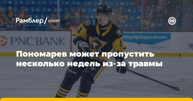 Пономарев может пропустить несколько недель из-за травмы Пономарев может пропустить несколько недель из-за травмы