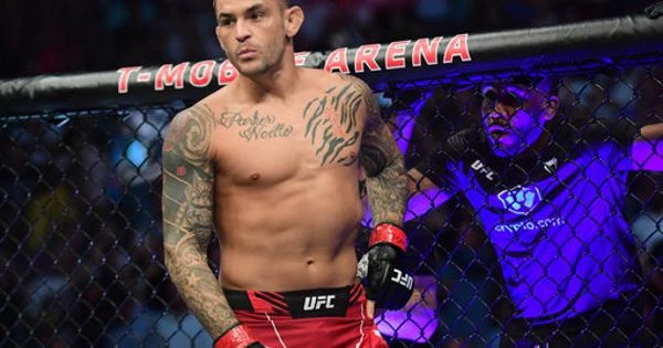 Порье подерется за титул чемпиона UFC Порье подерется за титул чемпиона UFC