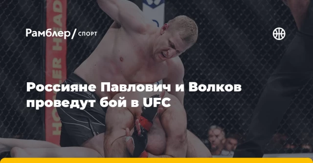 Россияне Павлович и Волков проведут бой в UFC Россияне Павлович и Волков проведут бой в UFC