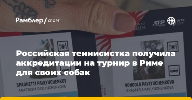 Российская теннисистка получила аккредитации на турнир в Риме для своих собак Российская теннисистка получила аккредитации на турнир в Риме для своих собак