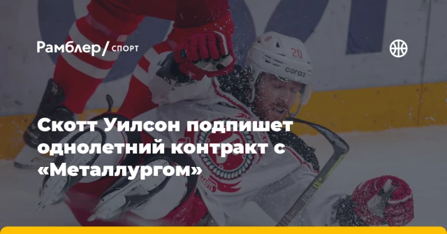 Скотт Уилсон подпишет однолетний контракт с «Металлургом» Скотт Уилсон подпишет однолетний контракт с «Металлургом»