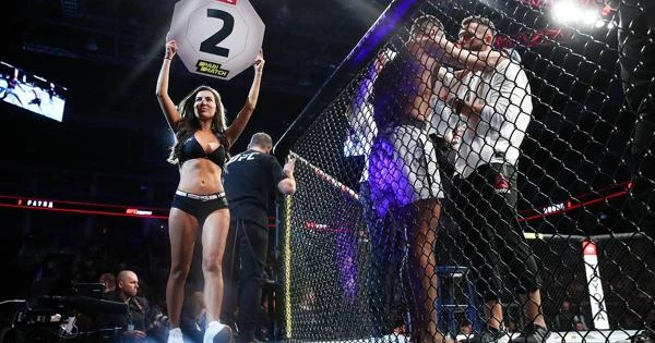 Соннен: UFC нужно организовать поединок Чендлера и Гэтжи Соннен: UFC нужно организовать поединок Чендлера и Гэтжи