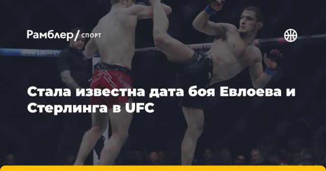 Стала известна дата боя Евлоева и Стерлинга в UFC Стала известна дата боя Евлоева и Стерлинга в UFC