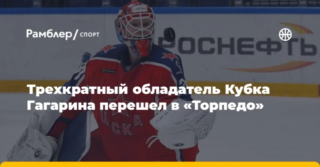 Трехкратный обладатель Кубка Гагарина перешел в «Торпедо» Трехкратный обладатель Кубка Гагарина перешел в «Торпедо»