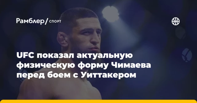 UFC показал актуальную физическую форму Чимаева перед боем с Уиттакером UFC показал актуальную физическую форму Чимаева перед боем с Уиттакером
