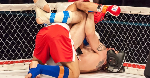 Украину могут лишить ЧЕ по MMA в случае недопуска россиян Украину могут лишить ЧЕ по MMA в случае недопуска россиян