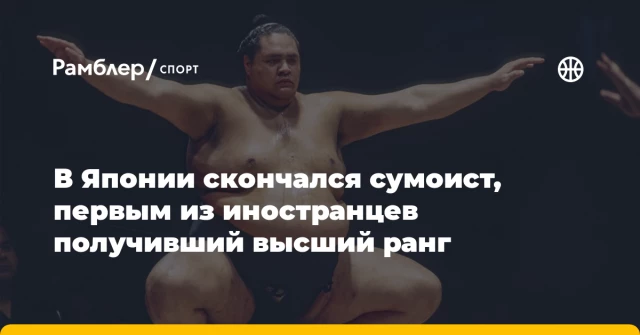 В Японии скончался сумоист, первым из иностранцев получивший высший ранг В Японии скончался сумоист, первым из иностранцев получивший высший ранг