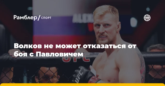 Волков не может отказаться от боя с Павловичем Волков не может отказаться от боя с Павловичем