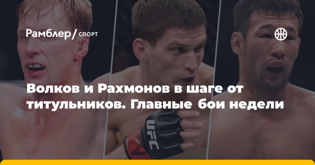 Волков и Рахмонов в шаге от титульников. Главные бои недели Волков и Рахмонов в шаге от титульников. Главные бои недели