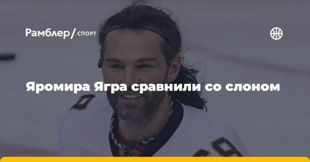 Яромира Ягра сравнили со слоном Яромира Ягра сравнили со слоном