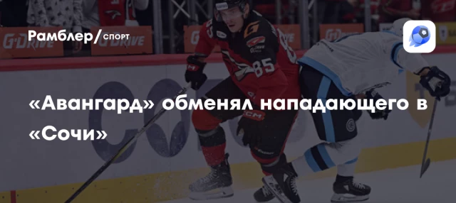 «Авангард» обменял нападающего в «Сочи» «Авангард» обменял нападающего в «Сочи»