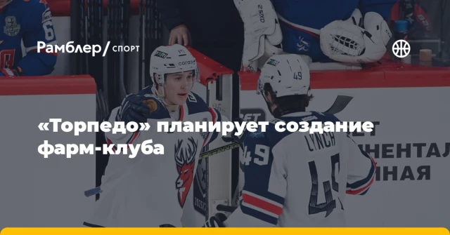 «Торпедо» планирует создание фарм-клуба «Торпедо» планирует создание фарм-клуба